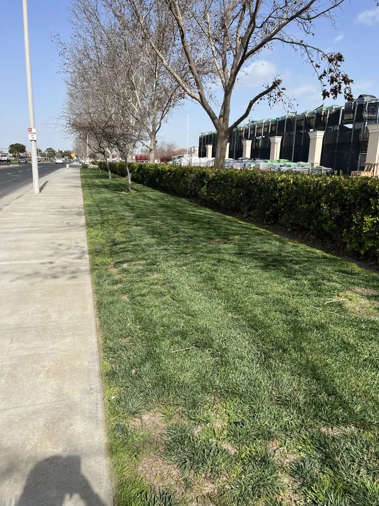 Custom landscape design experts serving Clovis, CA - Bonilla’s Lawn Care Service