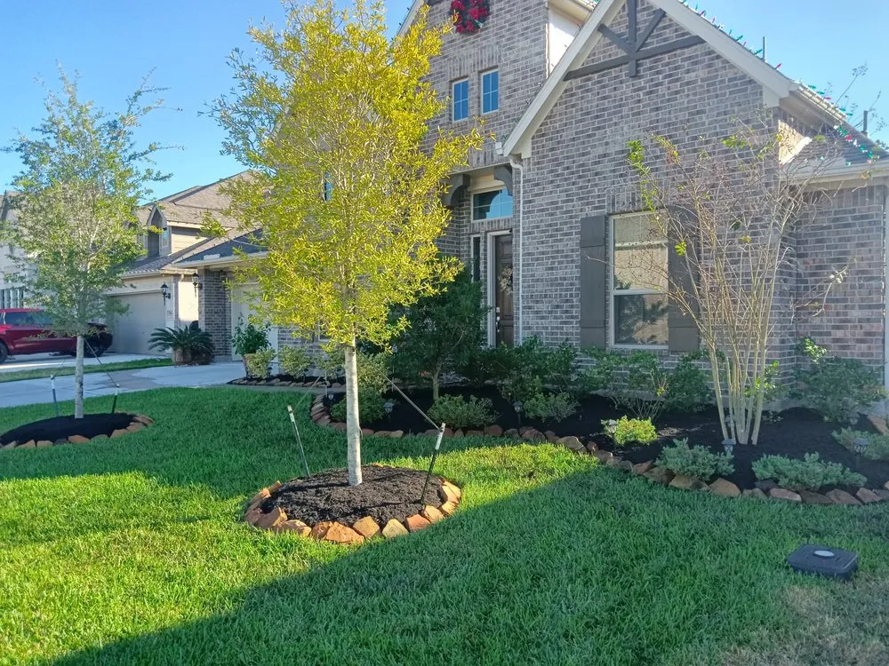Local yard cleanup service in La Porte, TX by Bonita Bay Lawn Maintenance