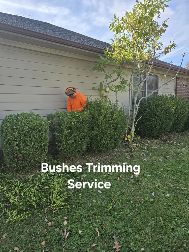 Professional outdoor landscaping for outdoor upgrades in Lexington-Fayette, KY by Bonita Lawn and Tree Service