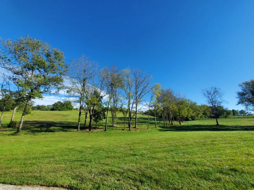 Expert outdoor landscaping in Lexington-Fayette, KY by Bonita Lawn and Tree Service