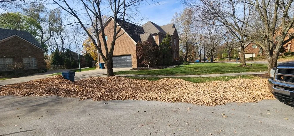 Affordable outdoor landscaping for beautiful yards across Lexington-Fayette, KY - Bonita Lawn and Tree Service