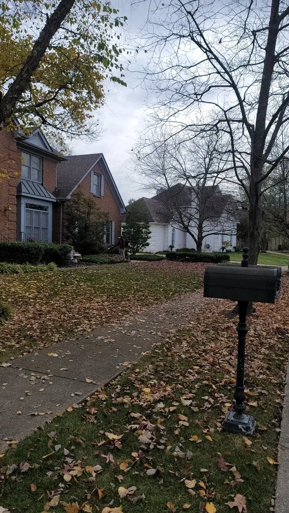 Top-rated outdoor landscaping for residential properties in Lexington-Fayette, KY by Bonita Lawn and Tree Service