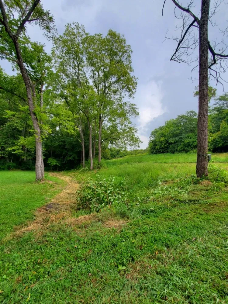 Professional yard cleanup service in Lexington-Fayette, KY - Bonita Lawn and Tree Service