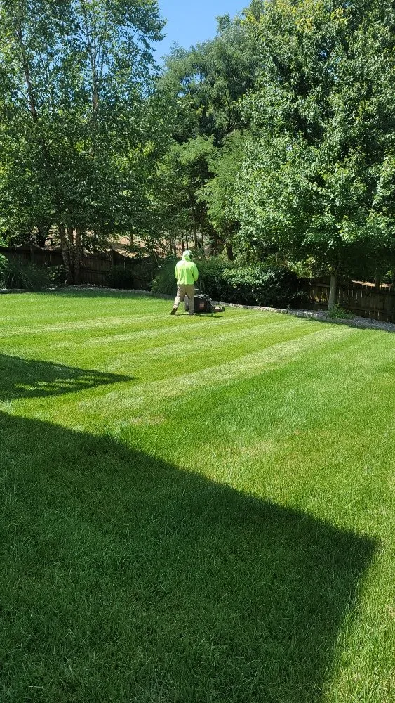 Trusted yard cleanup service experts serving Lexington-Fayette, KY - Bonita Lawn and Tree Service