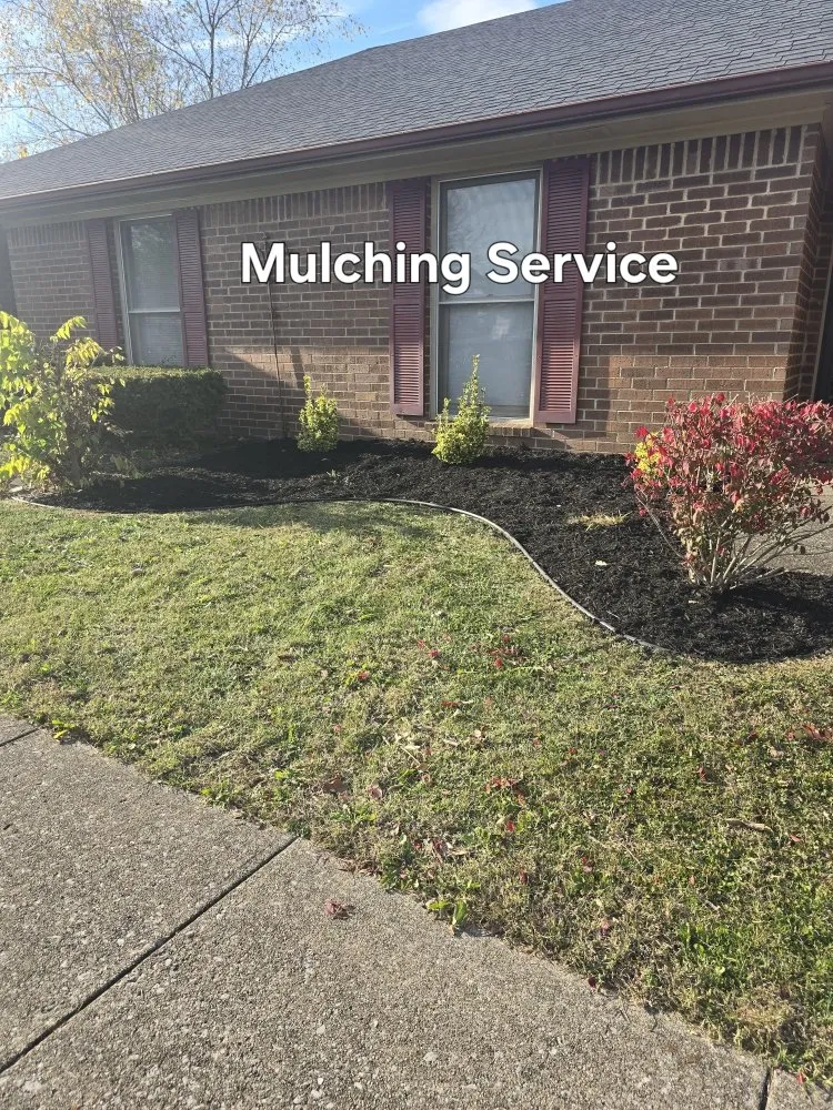 Affordable yard cleanup service in Lexington-Fayette, KY by Bonita Lawn and Tree Service