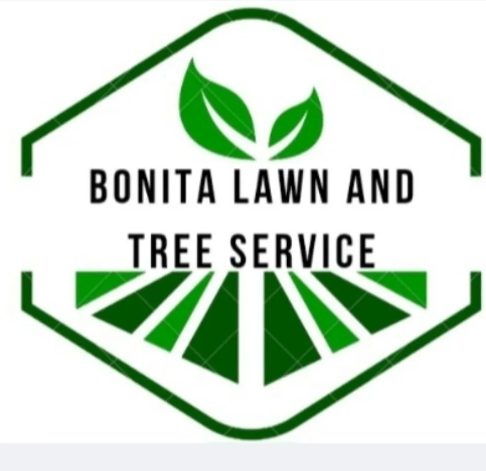 Trusted lawn care service for year-round maintenance in Lexington-Fayette, KY by Bonita Lawn and Tree Service