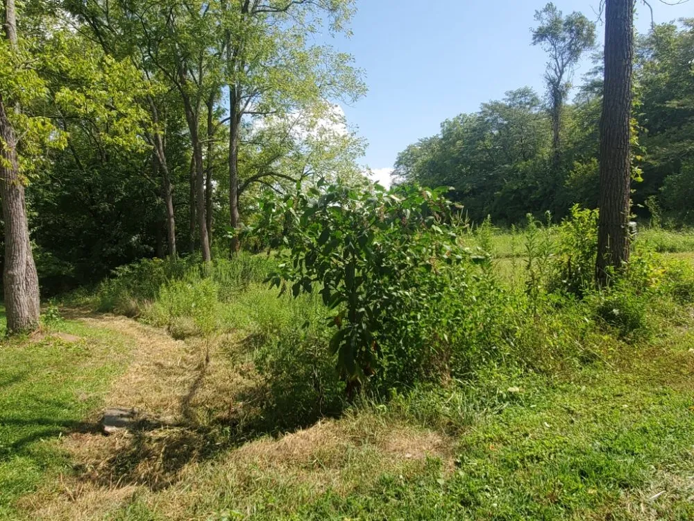 Professional outdoor landscaping in Lexington-Fayette, KY - Bonita Lawn and Tree Service