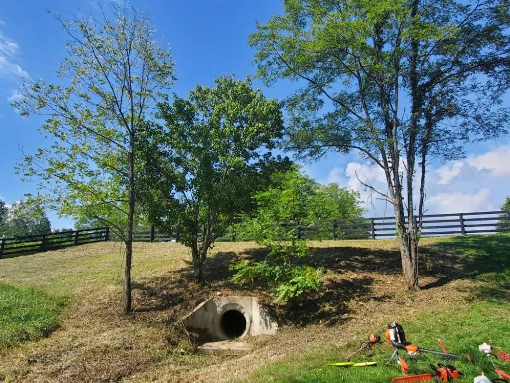 Reliable yard cleanup service for beautiful yards in Lexington-Fayette, KY by Bonita Lawn and Tree Service