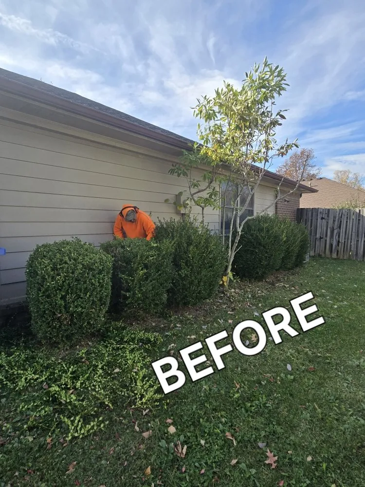 Top-rated landscaping services experts serving Lexington-Fayette, KY - Bonita Lawn and Tree Service