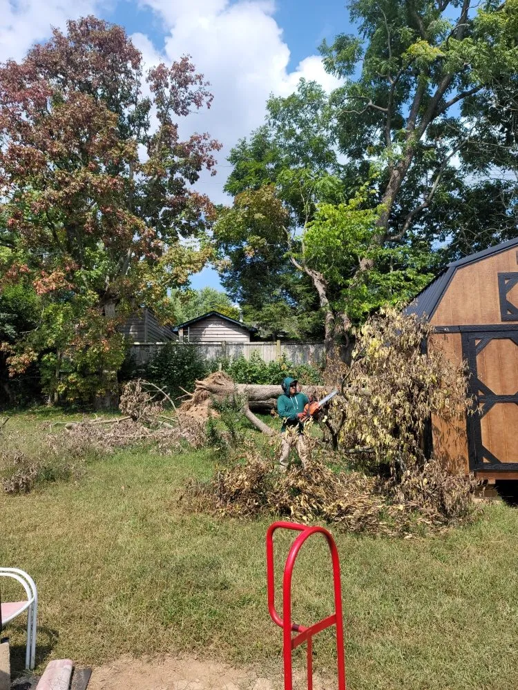 Local garden landscaping experts serving Lexington-Fayette, KY - Bonita Lawn and Tree Service