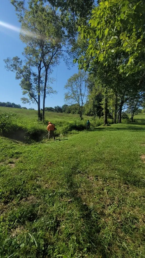 Trusted landscaping services experts serving Lexington-Fayette, KY - Bonita Lawn and Tree Service