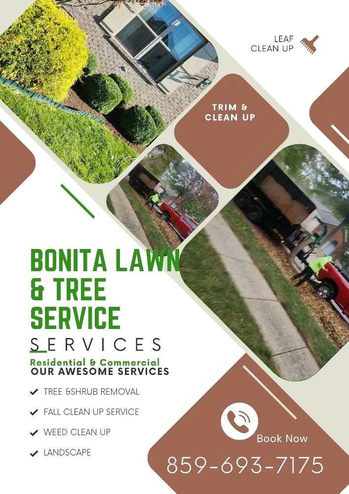 Local yard maintenance near you in Lexington-Fayette, KY by Bonita Lawn and Tree Service