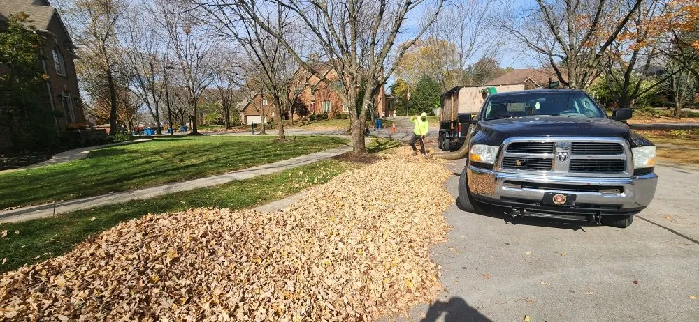 Reliable landscape installation in Lexington-Fayette, KY by Bonita Lawn and Tree Service