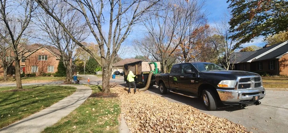 Top-rated outdoor landscaping for homes across Lexington-Fayette, KY - Bonita Lawn and Tree Service