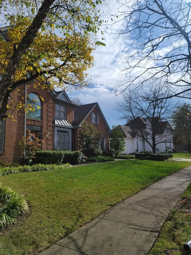 Reliable yard maintenance near you across Lexington-Fayette, KY - Bonita Lawn and Tree Service