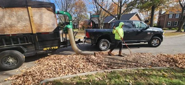 Bonita Lawn and Tree Service Logo