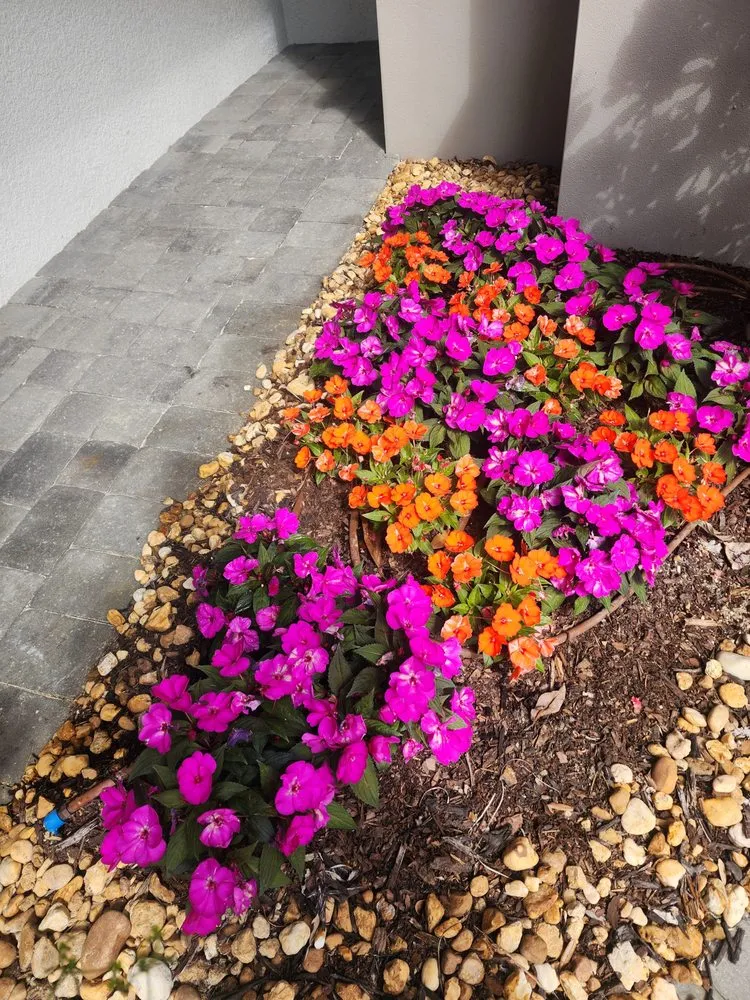 Professional yard maintenance in Bonita Springs, FL - Bonita Lawn Care