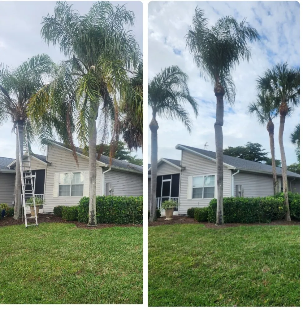 Top-rated lawn mowing service in Bonita Springs, FL - Bonita Lawn Care