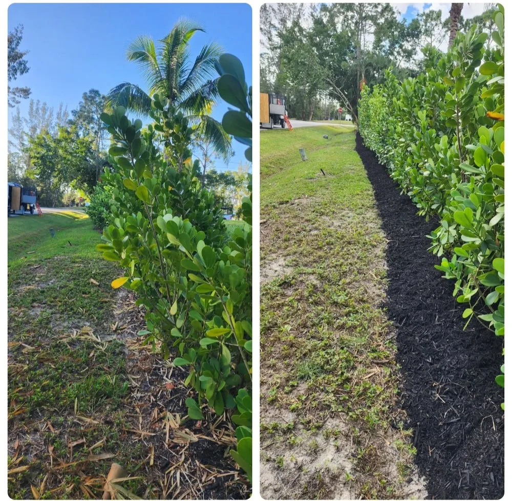 Trusted landscape installation in Bonita Springs, FL by Bonita Lawn Care
