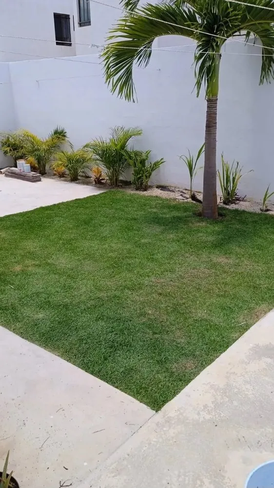 Reliable landscaping services in Bonita Springs, FL - Bonita Lawn Care