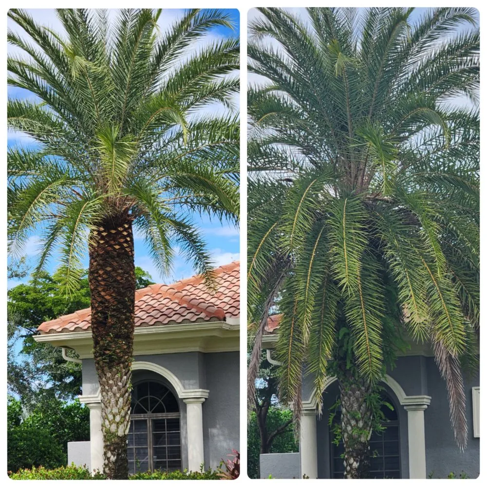 Local yard cleanup service for homes across Bonita Springs, FL - Bonita Lawn Care