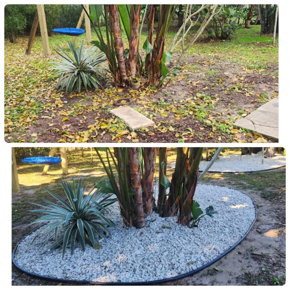 Top-rated yard cleanup service experts serving Bonita Springs, FL - Bonita Lawn Care