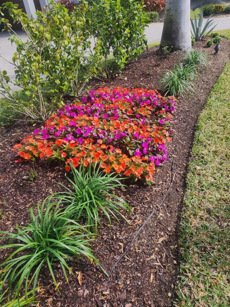 Professional outdoor landscaping near you across Bonita Springs, FL - Bonita Lawn Care