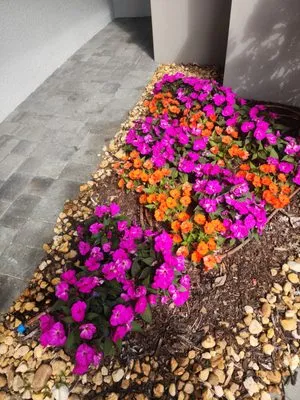 Bonita Lawn Care Logo