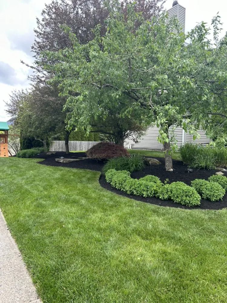 Top-rated landscape design experts serving Scranton, PA - Bonitz Landscaping