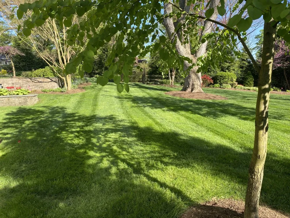 Top-rated landscape installation in Middle River, MD by Bonnell Property Service