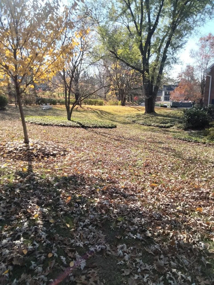 Top-rated residential landscaping in Middle River, MD - Bonnell Property Service