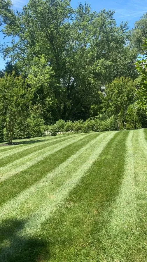 Local lawn care service for outdoor upgrades in Middle River, MD by Bonnell Property Service