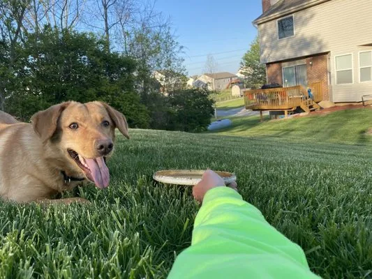 Bonnetts Outdoor Solutions