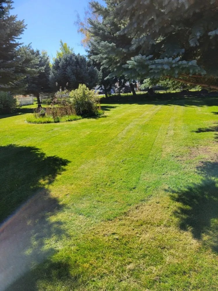 Affordable landscaping services in Idaho Falls, ID - Bonneville Lawn Care