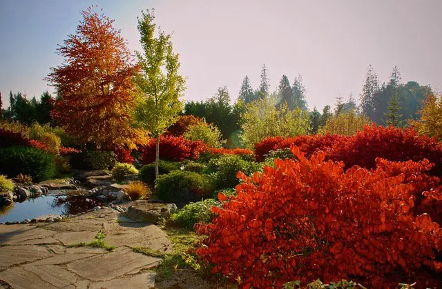 Reliable garden landscaping in Buckley, WA - Bonney Lake Landscapes