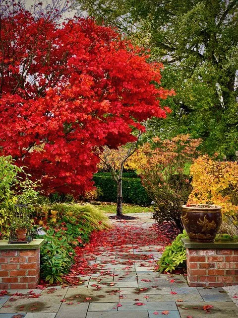 Affordable yard cleanup service in Buckley, WA - Bonney Lake Landscapes