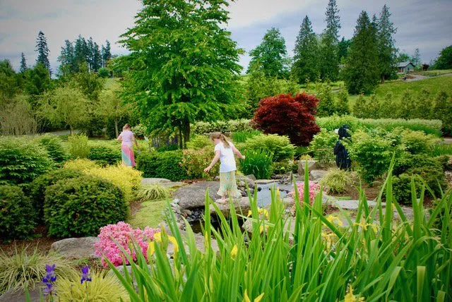 Reliable lawn care service for residential properties across Buckley, WA - Bonney Lake Landscapes