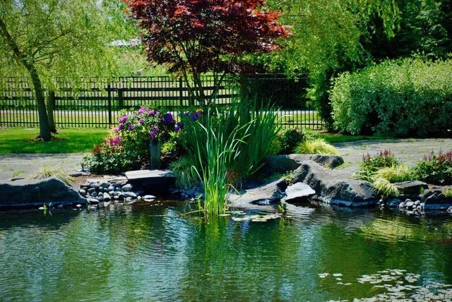 Affordable yard maintenance in Buckley, WA - Bonney Lake Landscapes