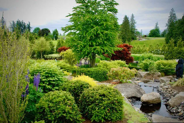 Expert residential landscaping for outdoor upgrades in Buckley, WA by Bonney Lake Landscapes