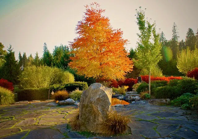 Local lawn care service with custom design across Buckley, WA - Bonney Lake Landscapes