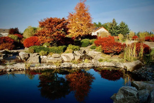Professional landscape design experts serving Buckley, WA - Bonney Lake Landscapes