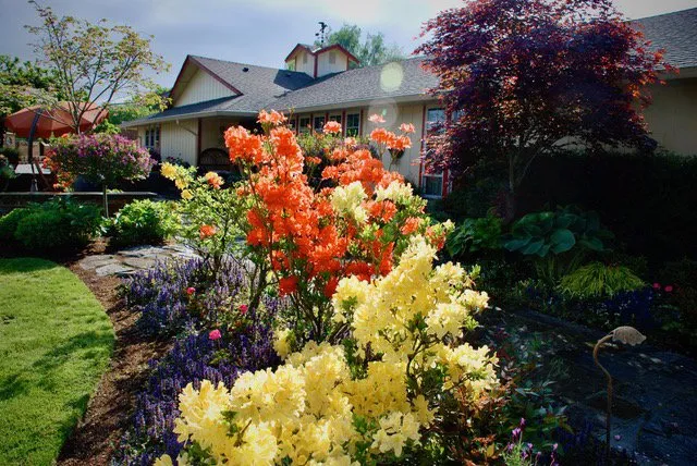 Top-rated lawn care service with custom design in Buckley, WA by Bonney Lake Landscapes