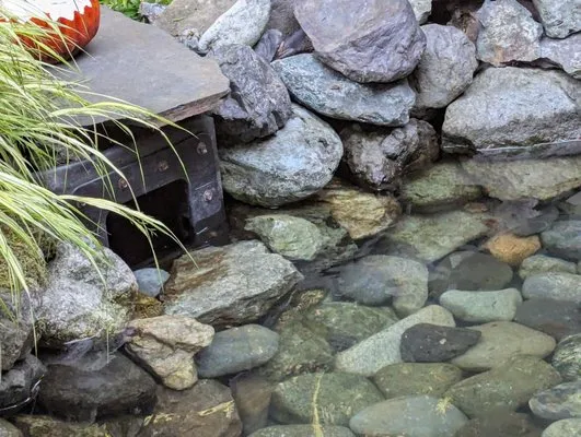 Bonney Lake Landscapes