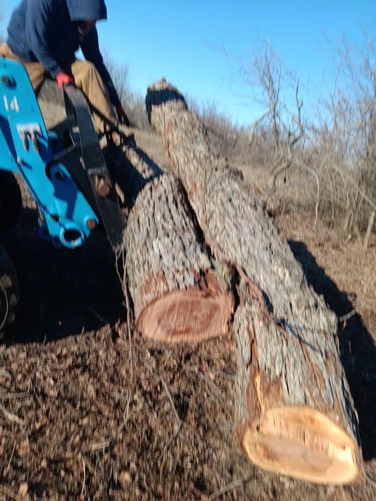 Local outdoor landscaping for beautiful yards in Ponder, TX by Bonnies Lawn And Tree