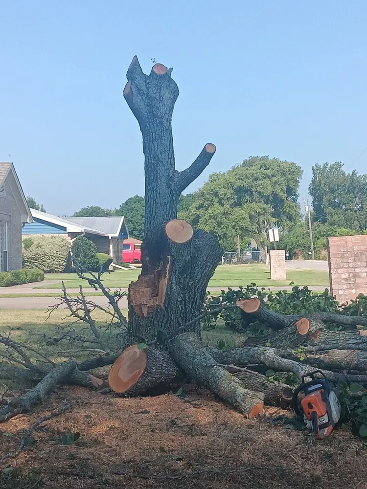 Expert landscape design in Ponder, TX by Bonnies Lawn And Tree