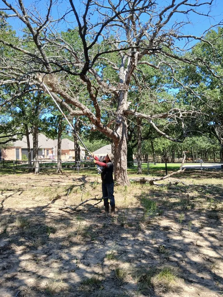 Trusted outdoor landscaping experts serving Ponder, TX - Bonnies Lawn And Tree