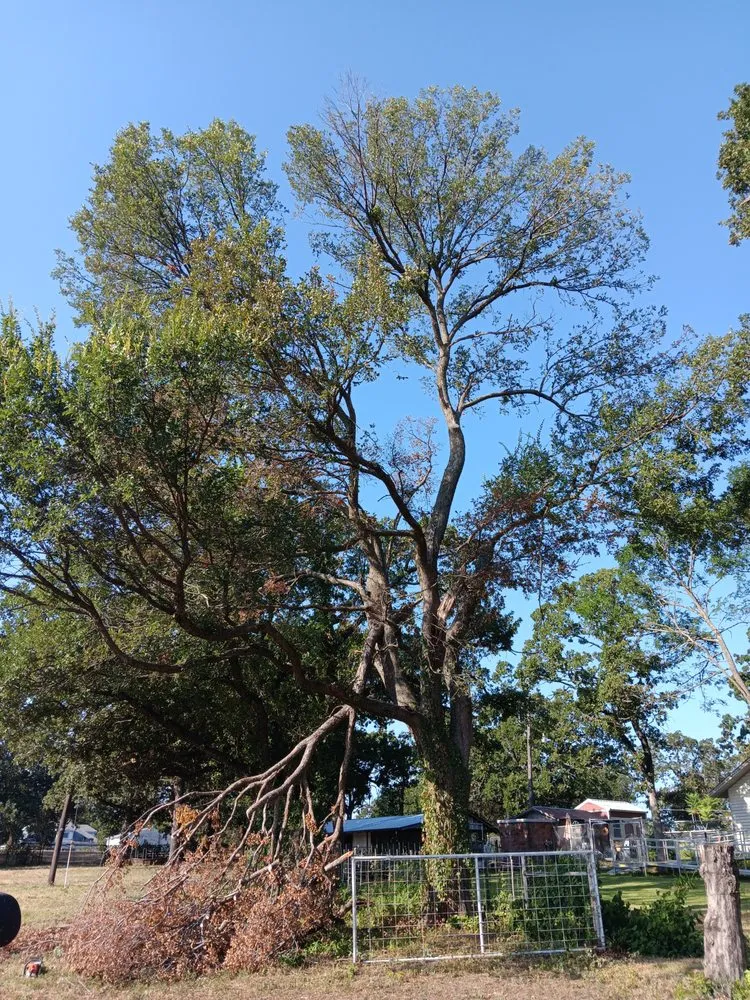 Top-rated yard maintenance for residential properties across Ponder, TX - Bonnies Lawn And Tree