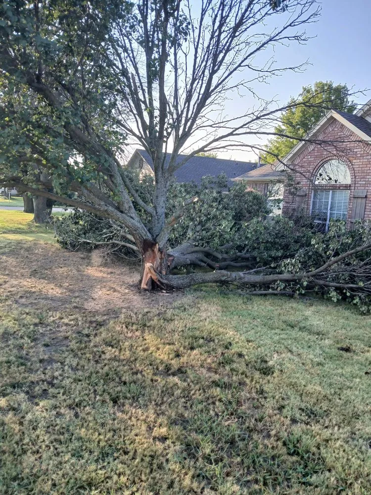 Expert yard cleanup service for outdoor upgrades in Ponder, TX by Bonnies Lawn And Tree