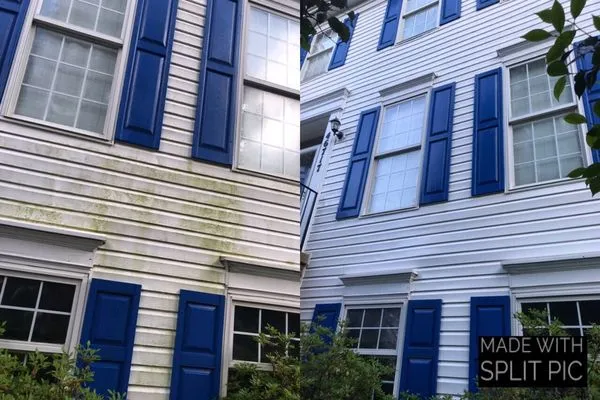 Bono Landscapes Logo