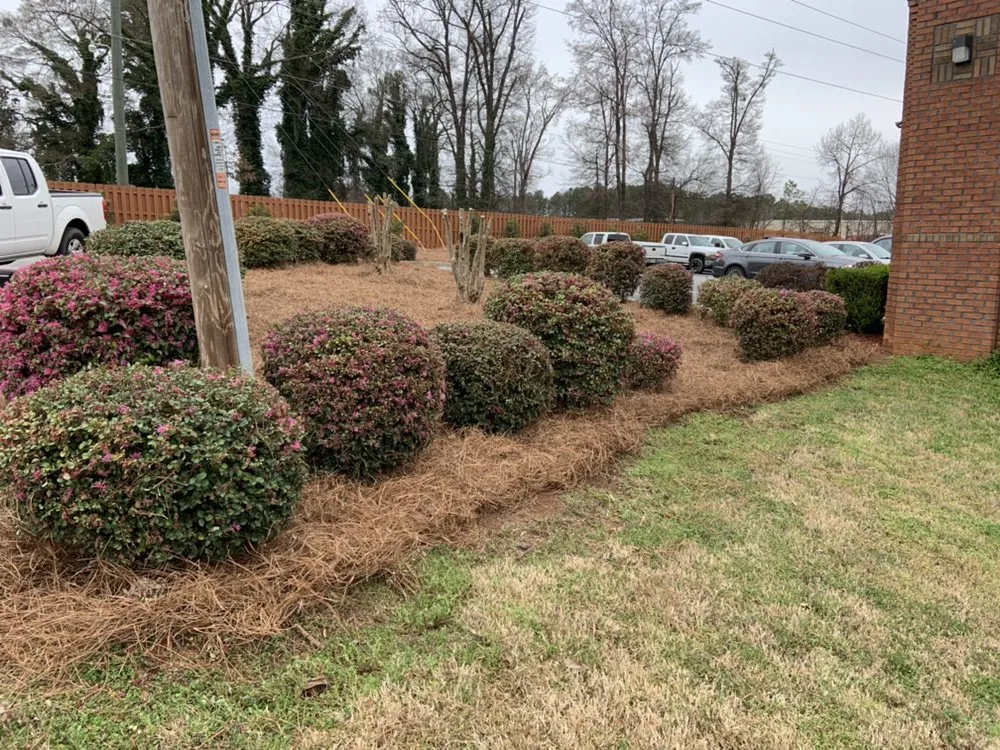 Reliable yard cleanup service in Loganville, GA by Bono's Landscaping
